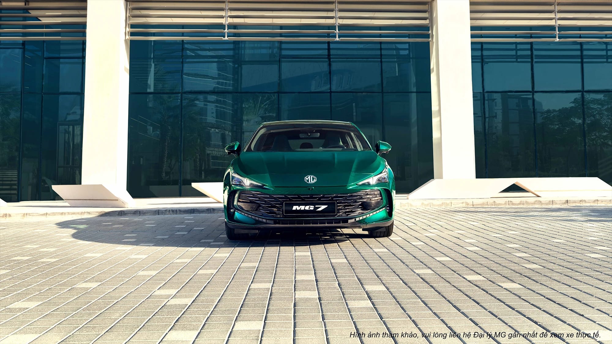 MG 7 thumb 5